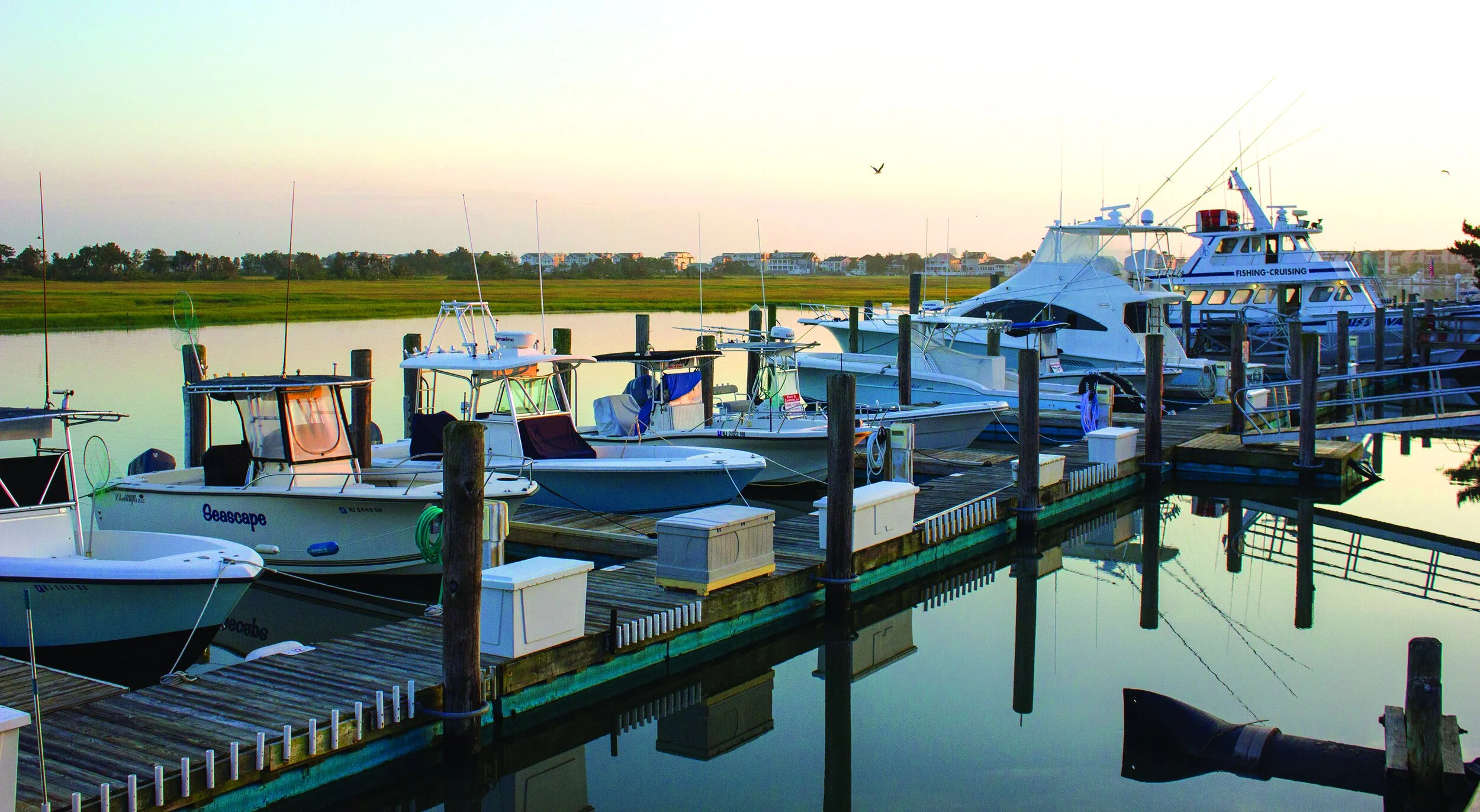 Bay Days: How to Spend a Summer Day on the Water in Avalon and Stone Harbor