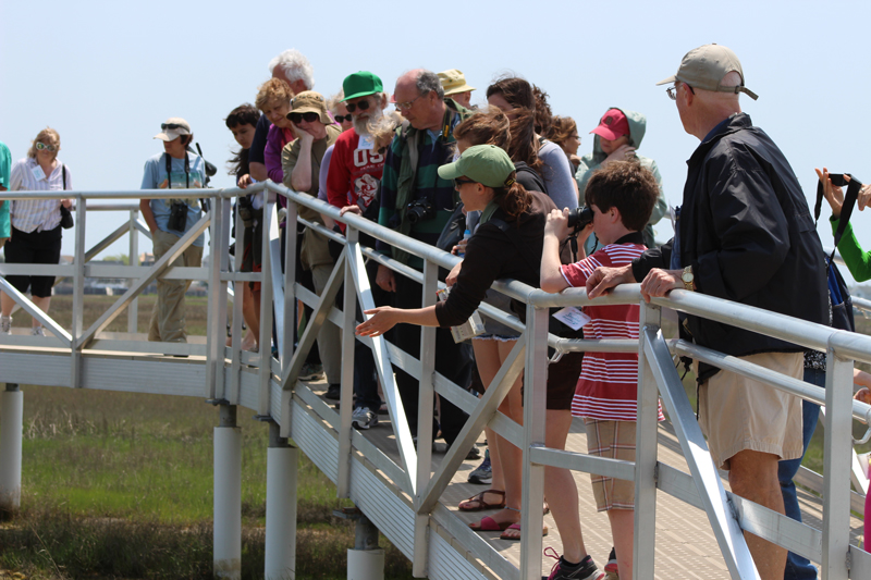 Kid-Friendly Vacation Ideas Around Avalon and Stone Harbor
