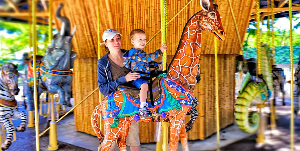 Kid-Friendly Vacation Ideas Around Avalon and Stone Harbor